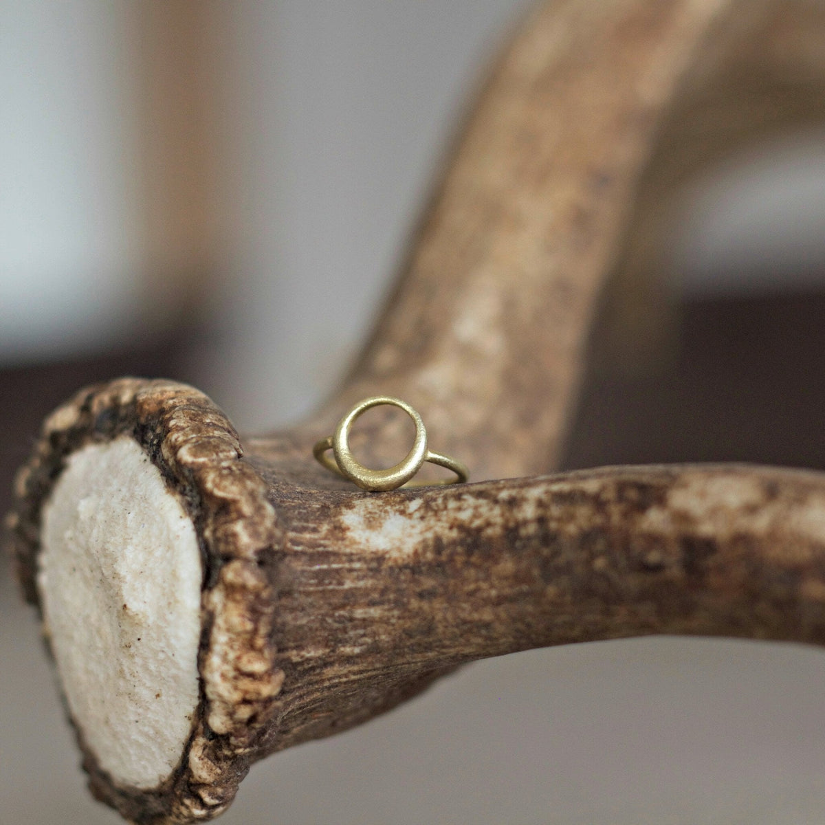 Cirkel Ring Gold - Garber.dk